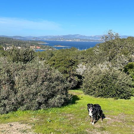 Latitudes 43 Daire Porquerolles Dış mekan fotoğraf