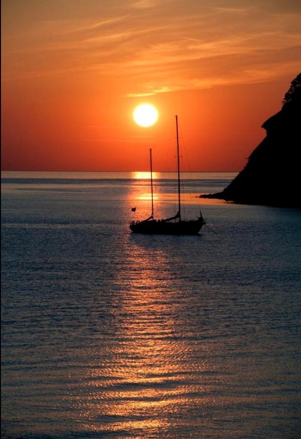 Latitudes 43 Daire Porquerolles Dış mekan fotoğraf