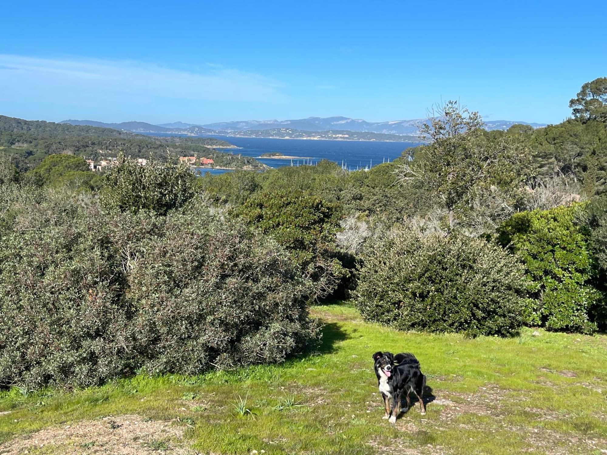 Latitudes 43 Daire Porquerolles Dış mekan fotoğraf