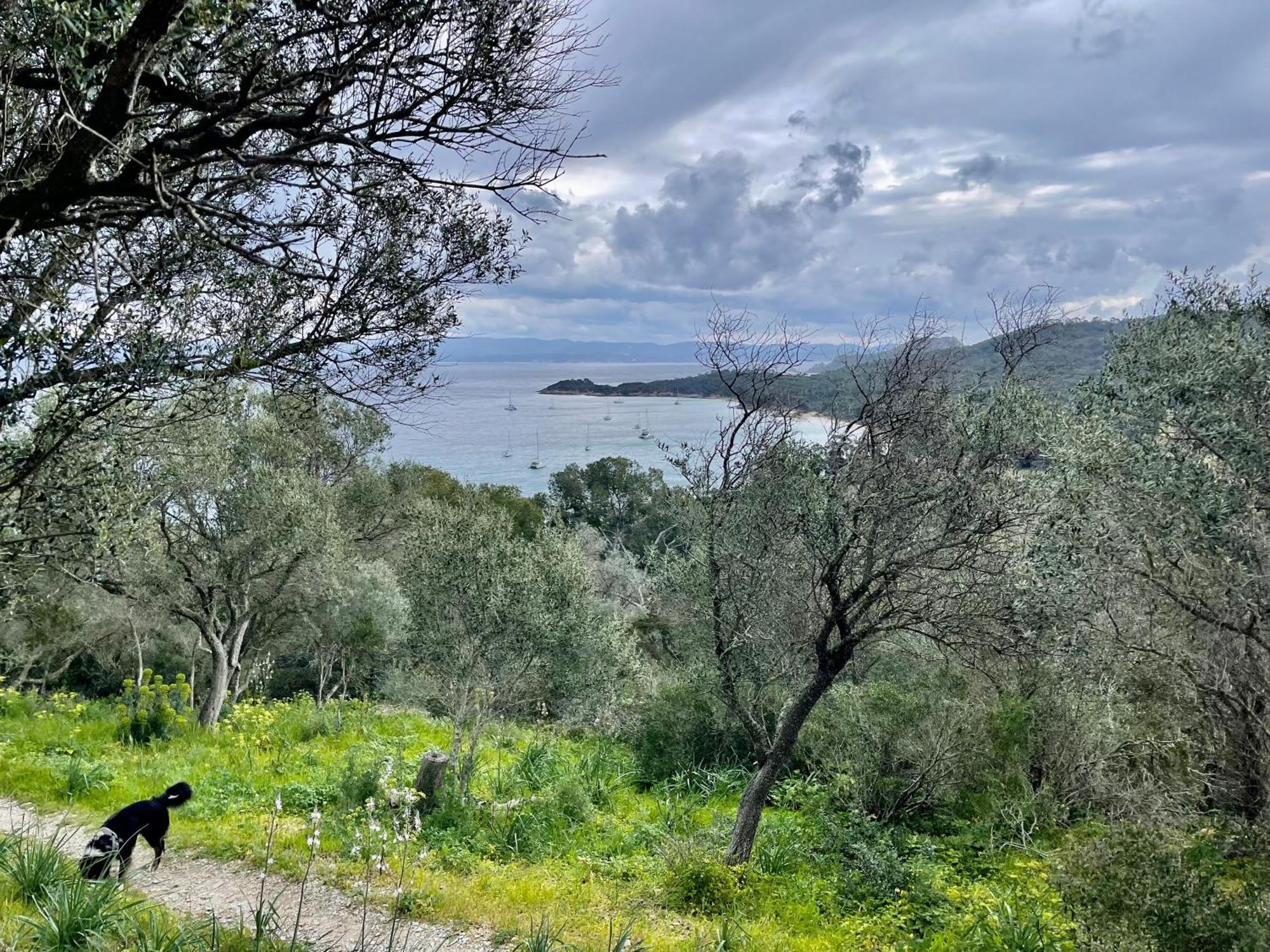 Latitudes 43 Daire Porquerolles Dış mekan fotoğraf