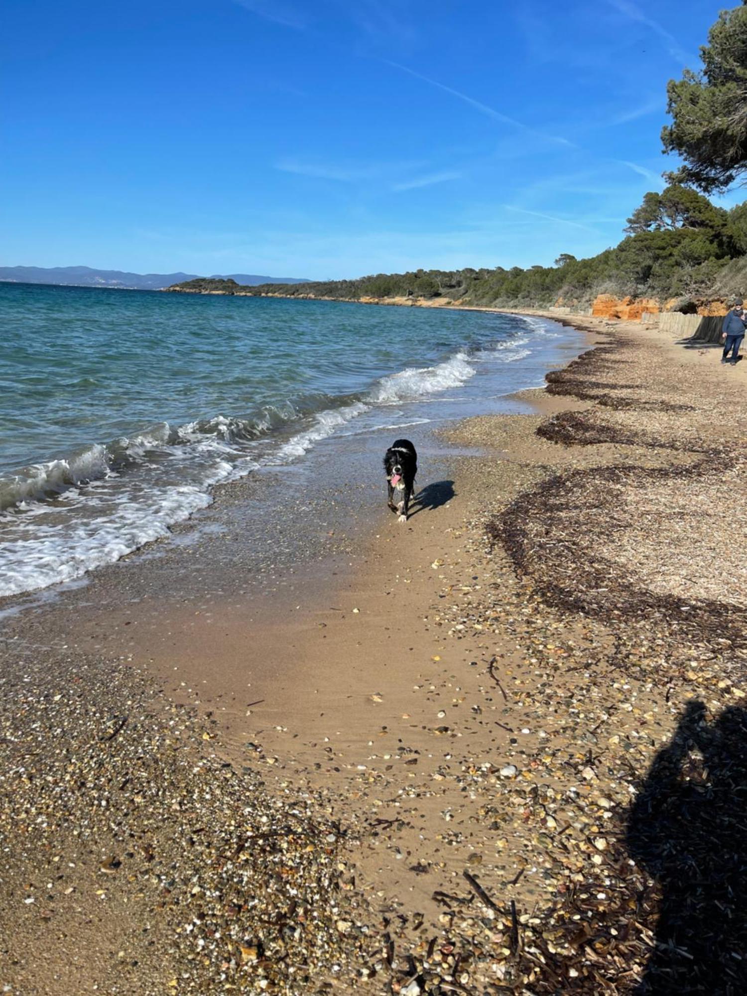 Latitudes 43 Daire Porquerolles Dış mekan fotoğraf