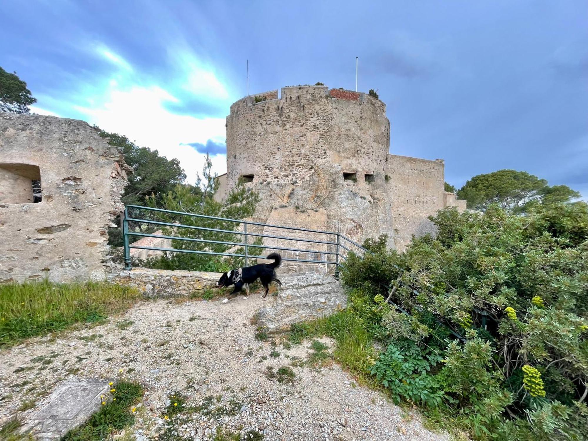 Latitudes 43 Daire Porquerolles Dış mekan fotoğraf